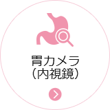 胃カメラ(内視鏡)